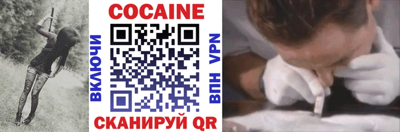 Купить где  Кадников  Cocaine Fish Scale 