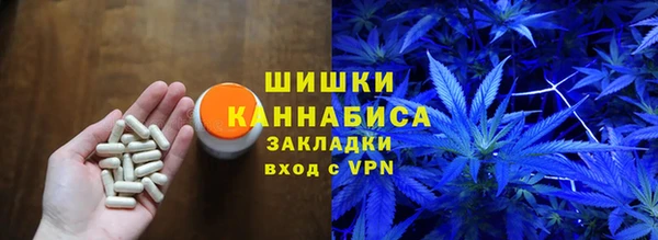 дмт Осинники