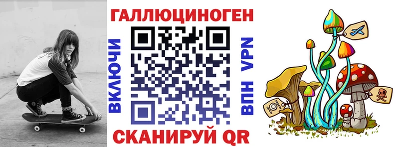 Галлюциногенные грибы Psilocybine cubensis  Купить где  Кадников 